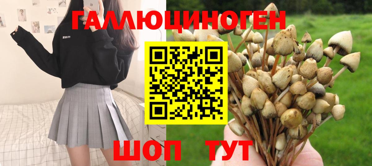 Галлюциногенные грибы мицелий Благовещенск